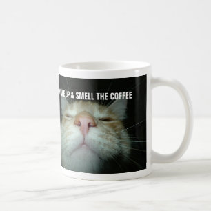 Coffee Cat Mug