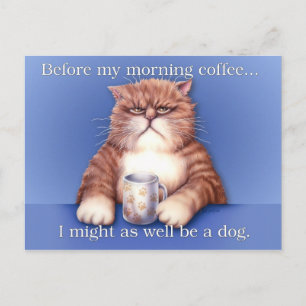 Coffee Cat Postcard