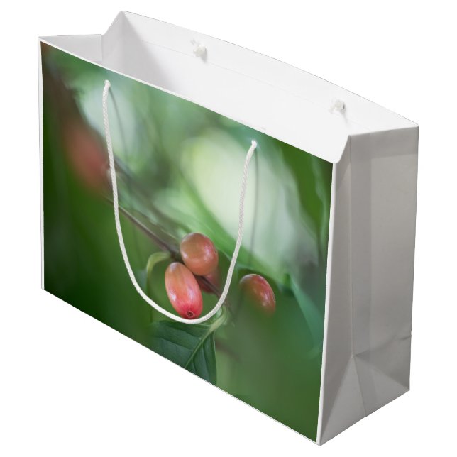 Coffee Cherries Card Large Gift Bag (Back Angled)