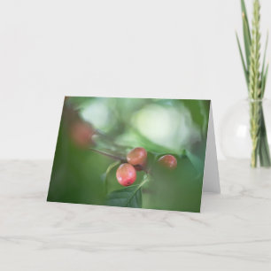 Coffee Cherries Nature Photo Card