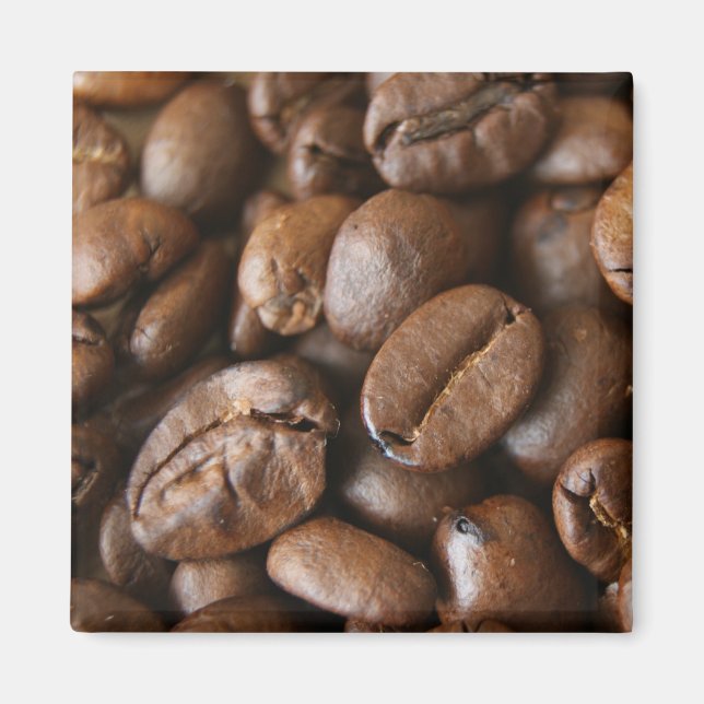 coffee fix magnet (Front)