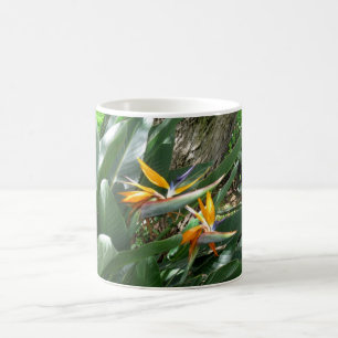 Coffee Mug Bird Of Paradise