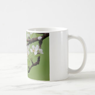 Coffee mug:  Delight yourself in the Lord. Mug