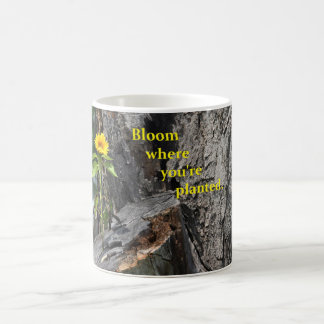 coffee mug with flower growing out of tree