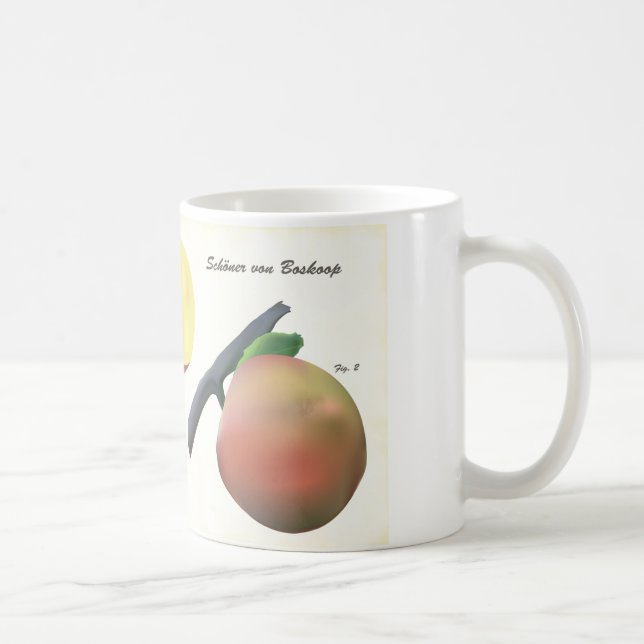 Coffee Mug with Scientific Illustration (Right)