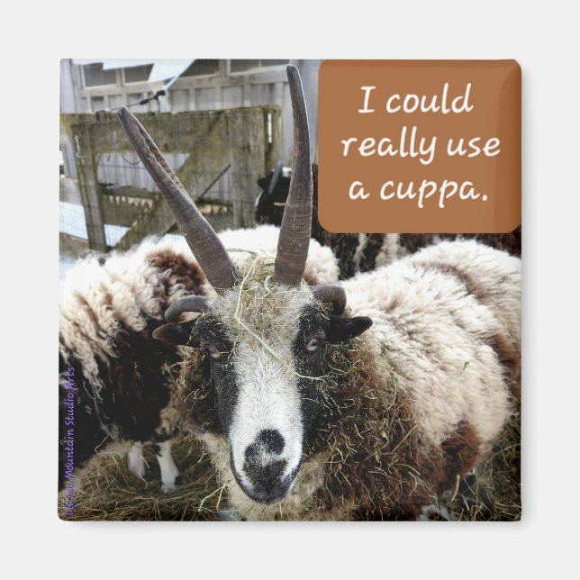 Coffee Sheep Magnet #2 - Precious (Front)