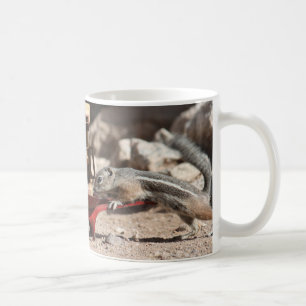 Coffee Squirrels Mug