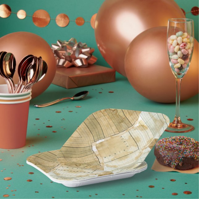 Coffee Stained Ledger Accountant Paper Paper Plate (Multi)