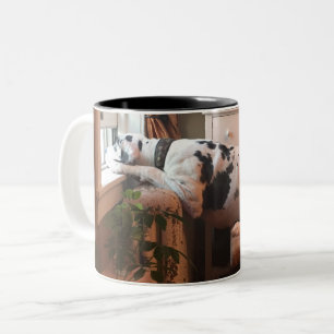 Coffee with Dottie! Two-Tone Coffee Mug
