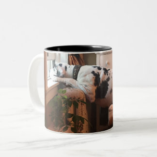Coffee with Dottie! Two-Tone Coffee Mug