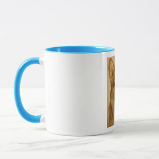 cogie mug, sky colour mug
