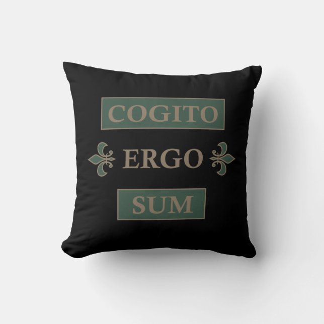 Cogito ergo sum cushion (Front)