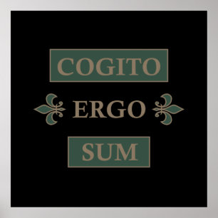 cogito ergo sum, latin phrase poster