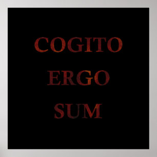 Cogito ergo sum poster