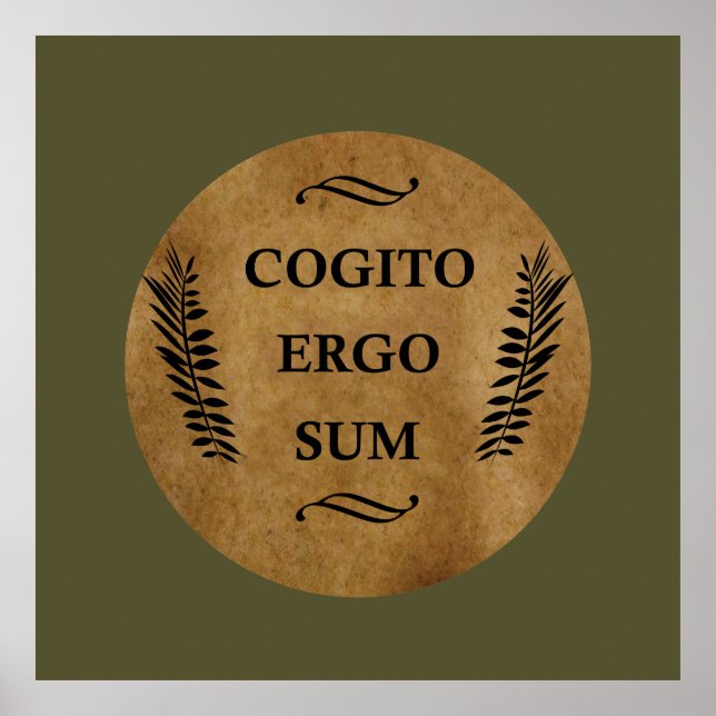 Cogito ergo sum poster (Front)