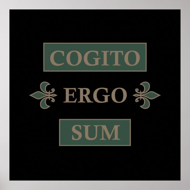 Cogito ergo sum poster (Front)