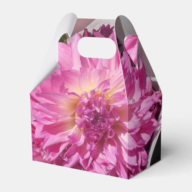 Cogniet Favour Box (Front Side)