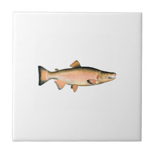 Coho - Silver Salmon (spawning phase) Ceramic Tile