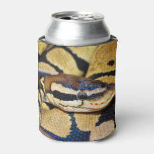 Coiled Ball Python Face Closeup Can Cooler