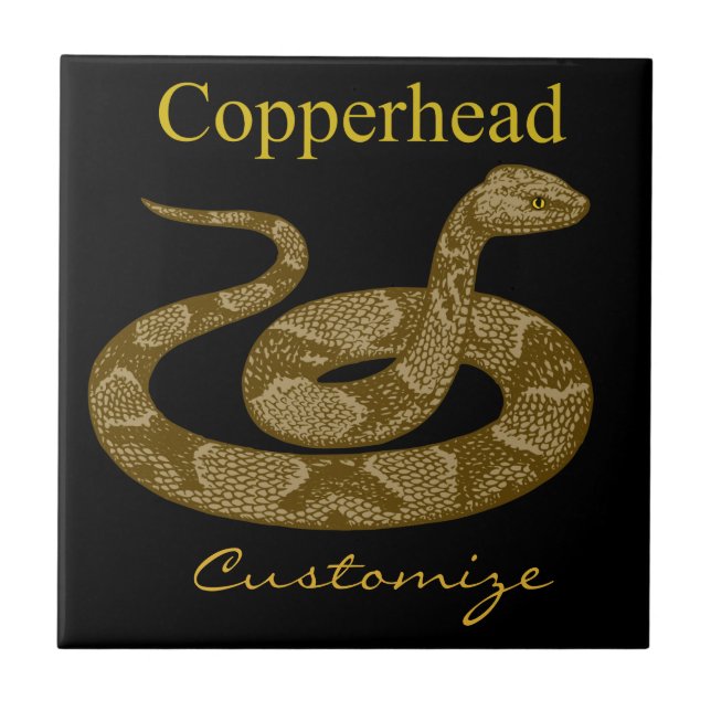 Coiled Copperhead Snake Thunder_Cove Ceramic Tile (Front)