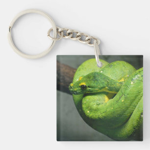 Coiled Green Tree Snake Key Ring