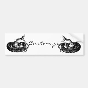 Coiled Rattlesnake Thunder_Cove Bumper Sticker