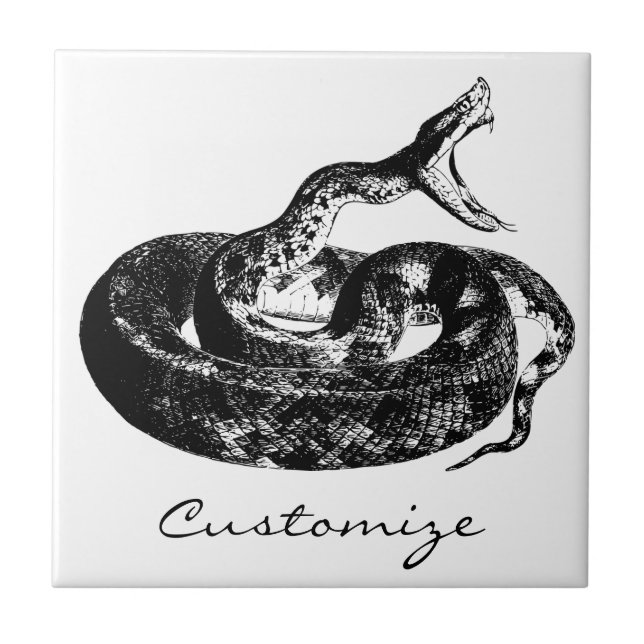 Coiled Rattlesnake Thunder_Cove Ceramic Tile (Front)