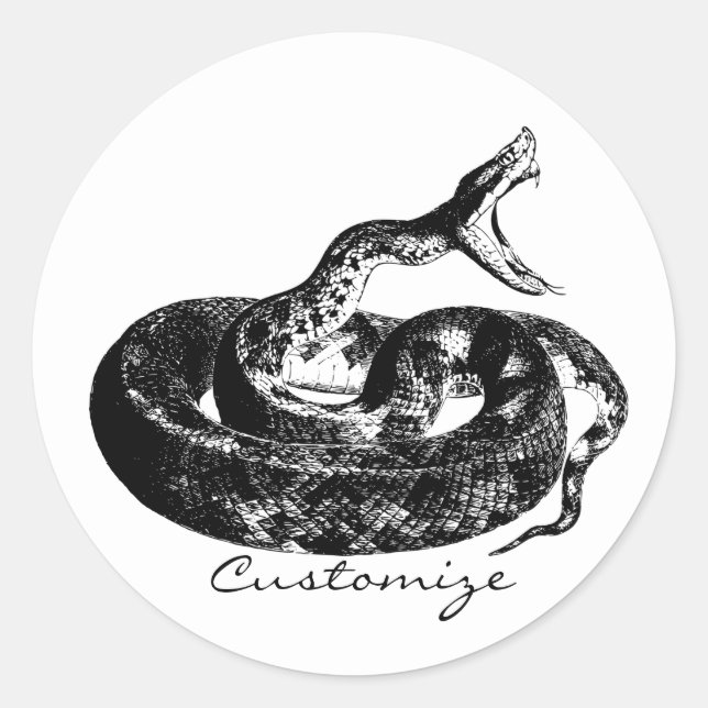 Coiled Rattlesnake Thunder_Cove Classic Round Sticker (Front)