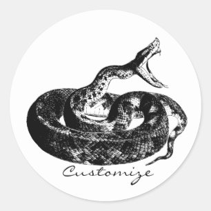 Coiled Rattlesnake Thunder_Cove Classic Round Sticker