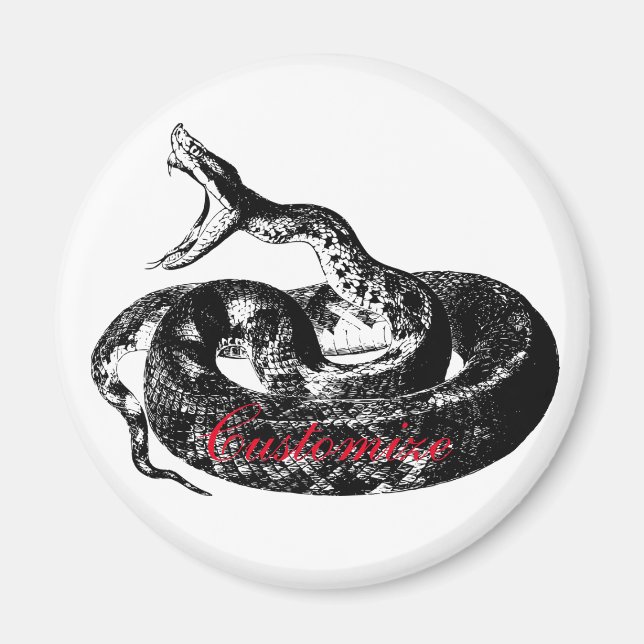 Coiled Rattlesnake Thunder_Cove Magnet (Front)