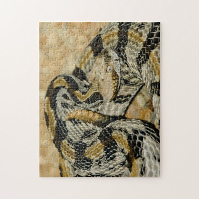 Coiled Timber Rattlesnake Jigsaw Puzzle (Vertical)
