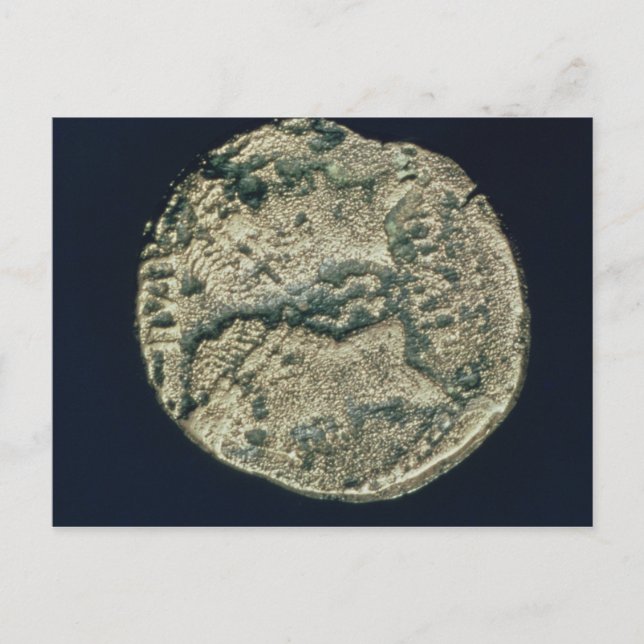 Coin with heads of Julius Caesar  and Augustus Postcard (Front)