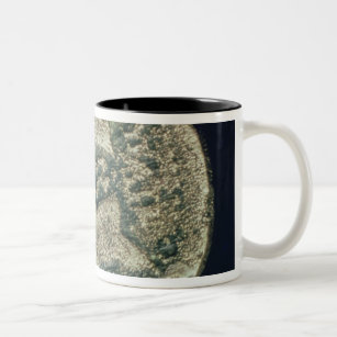 Coin with heads of Julius Caesar  and Augustus Two-Tone Coffee Mug
