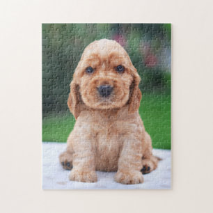 Coker Spaniel Puppy Jigsaw Puzzle