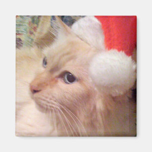 Cokie the Cat Christmas Magnet