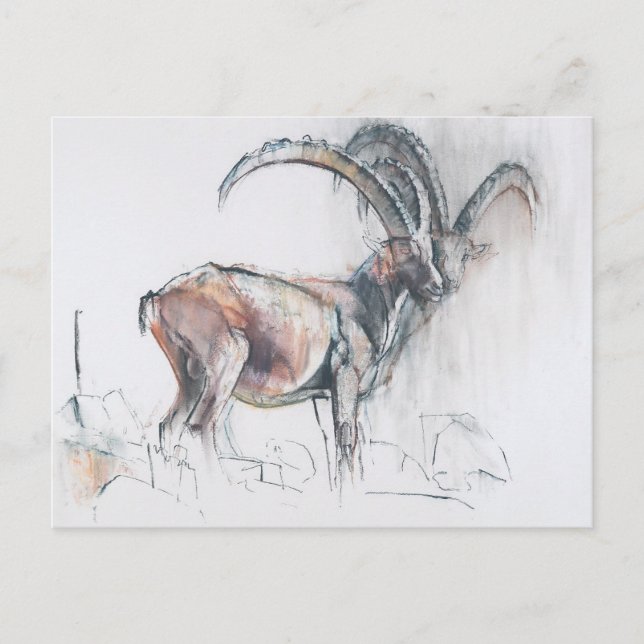 Col di Vermianaz Postcard (Front)