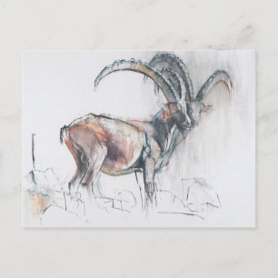 Col di Vermianaz Postcard