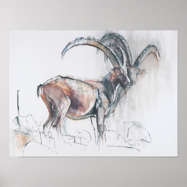 Col di Vermianaz Poster (Front)