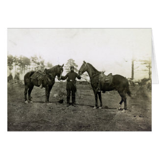 Col. Sharpe's horses