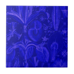 Colbalt Blue Tile