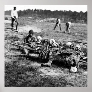 Cold Harbour Casualties: 1865 Poster