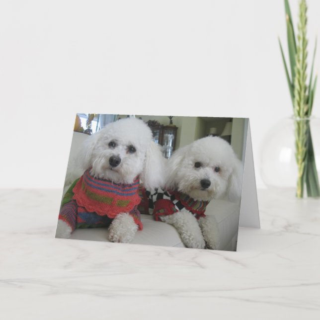 "Cold Noses, Warm Hearts" - Greeting Card (Front)