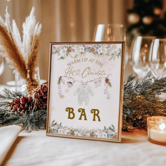 Cold Outside Clothest Line Baby Shower Bar Poster (Creator Uploaded)