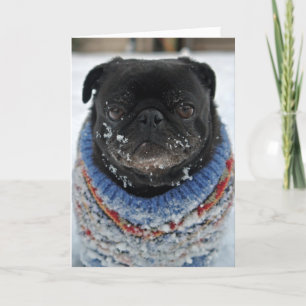 Cold Puggy in the Snow Birthday Greeting Card