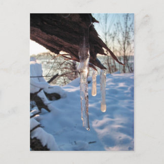 cold winter icicles after first snow storm postcard