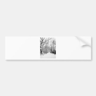 Cold Winter Woodland Bumper Sticker