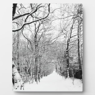 Cold Winter Woodland Plaque