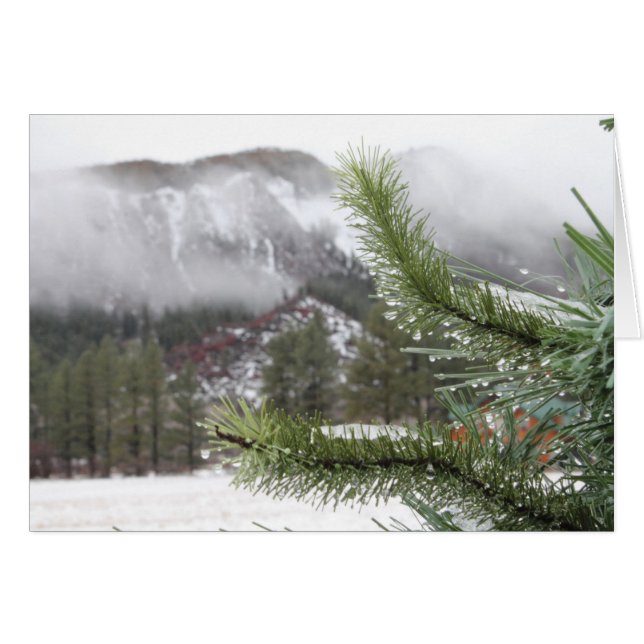 Cold Winter's Morn (Front Horizontal)