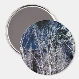 Cold Wintry night..... Magnet