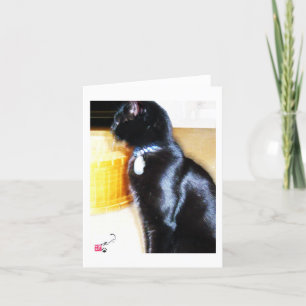 COLE CARD